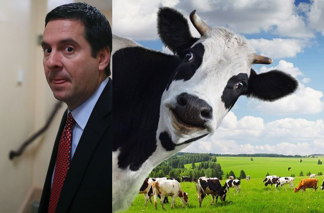 Devin Nunes vs Devin Nunes' Cow Devin Nunes vs Devin Nunes' Cow