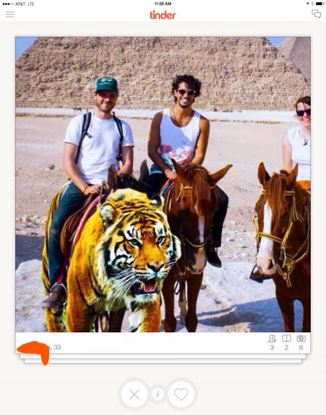 Tiger Selfies: now illegal in New York State Selfie of the friends riding horses and a tiger in Egypt